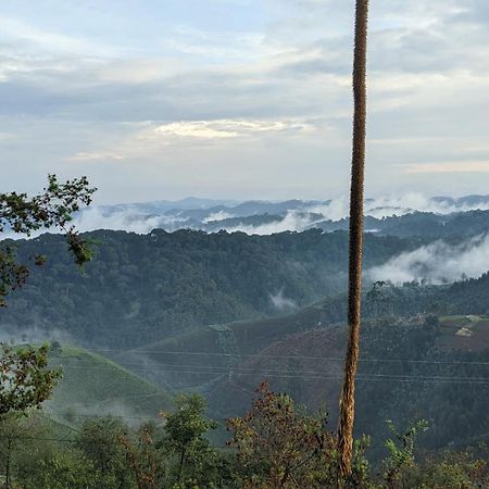 Nyungwe Village Kitabi Bagian luar foto