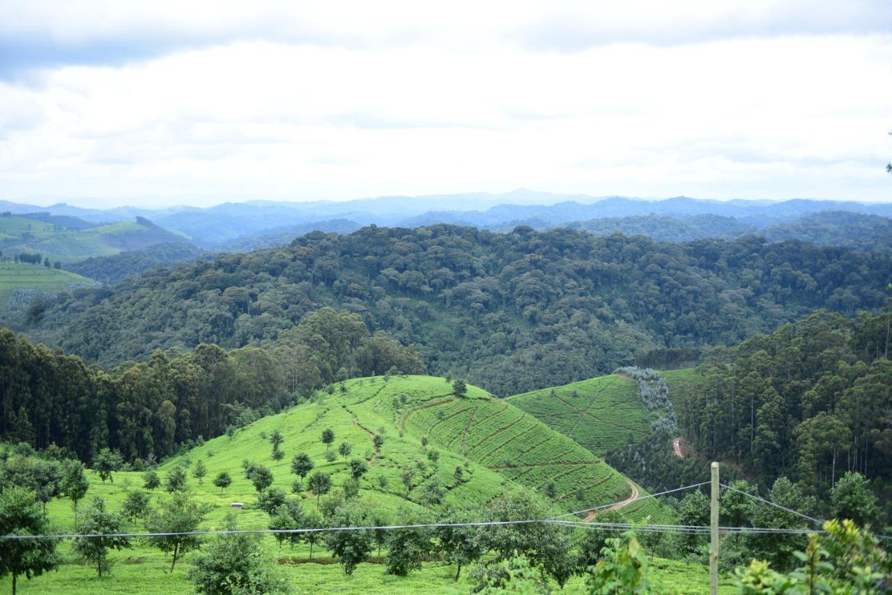 Nyungwe Village Kitabi Bagian luar foto