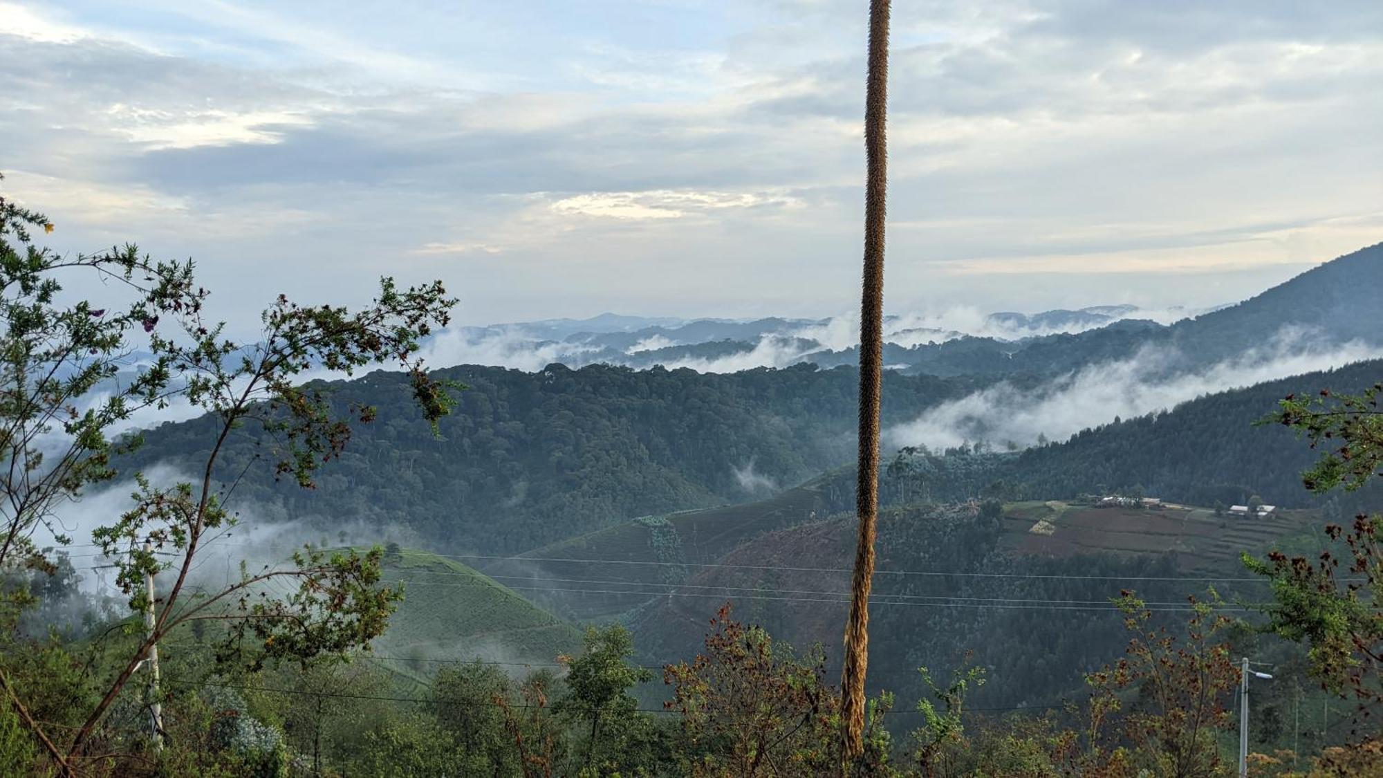 Nyungwe Village Kitabi Bagian luar foto