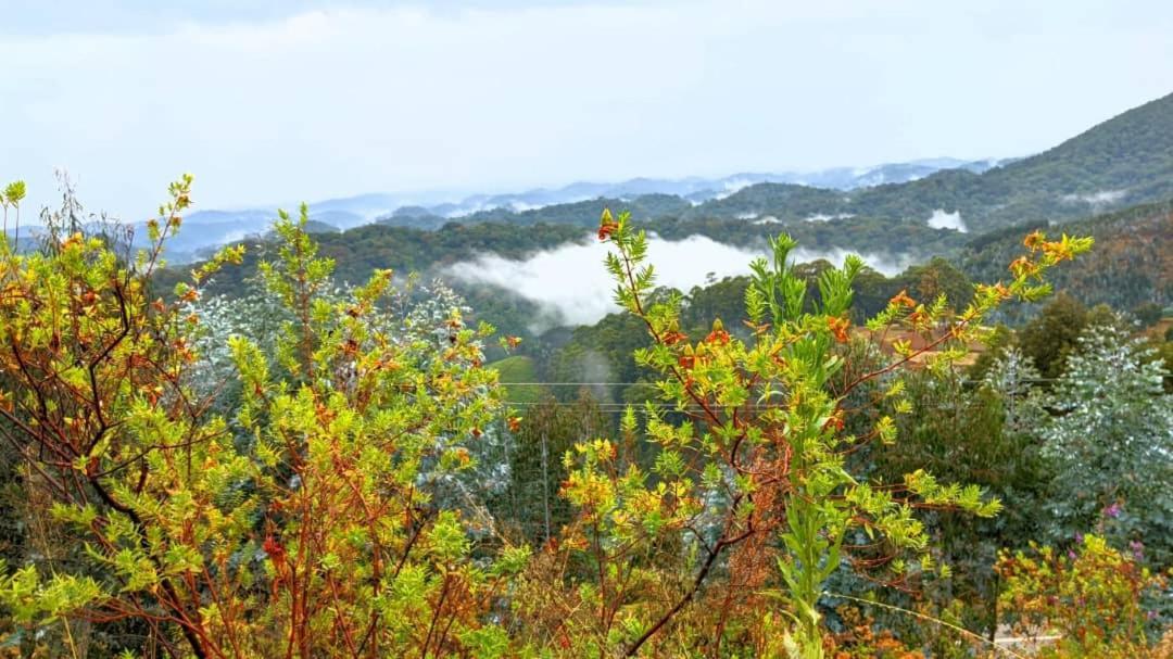 Nyungwe Village Kitabi Bagian luar foto