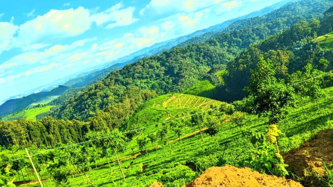 Nyungwe Village Kitabi Bagian luar foto